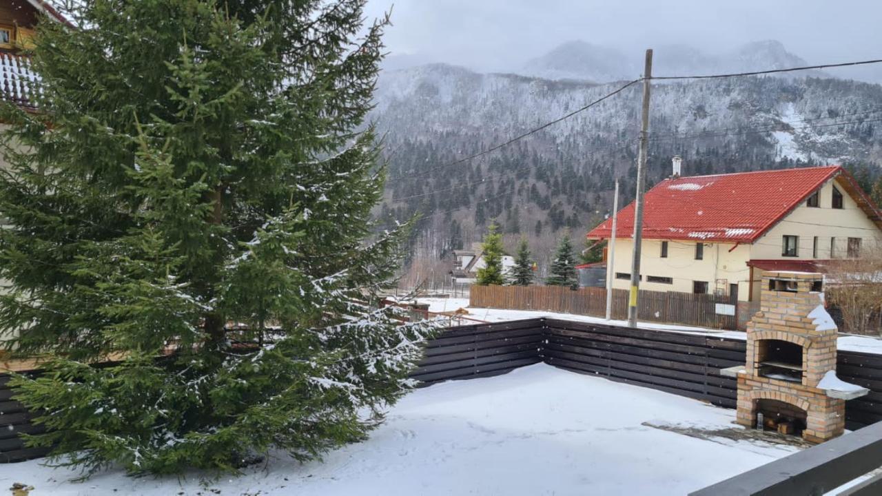 Nordic Chalet Sinaia Exterior foto